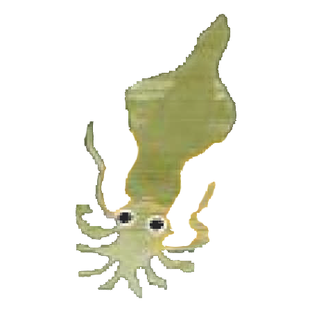 いか