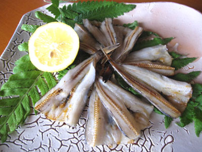 メヒカリの干物（開き）