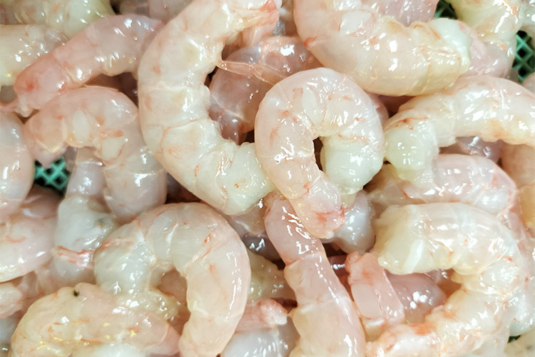 国産天然・無添加ムキエビ 生むき身