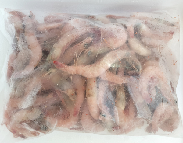 ガスエビ(ヒゲナガエビ)【有頭】10kg