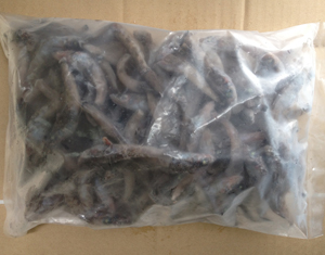 メヒカリ【有頭】少量セット